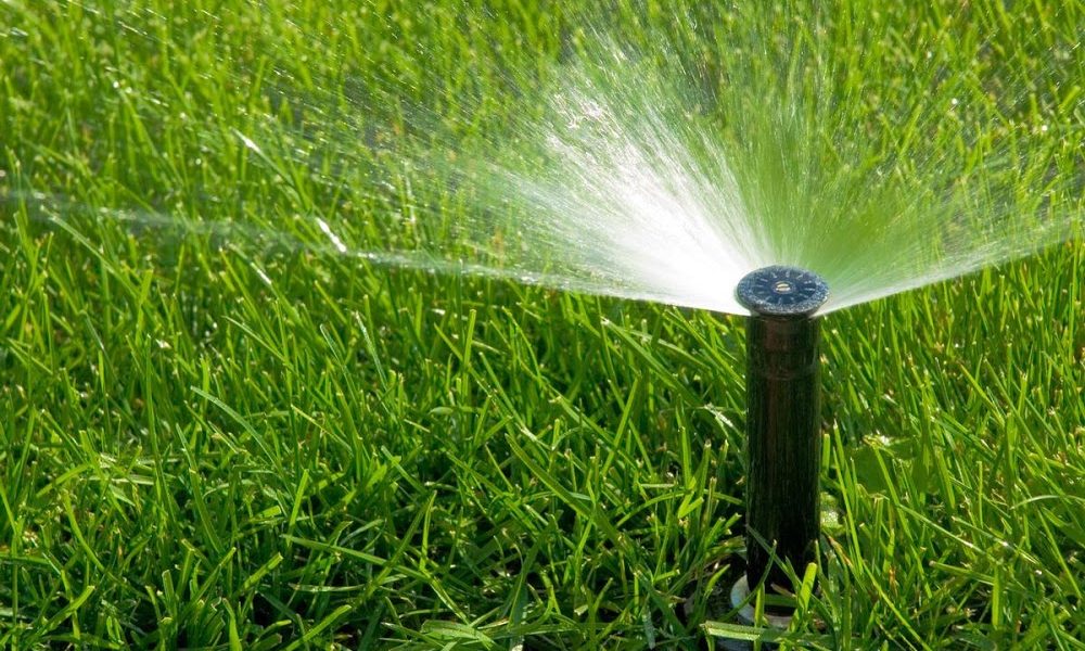 Cutting Edge Total Lawn Care