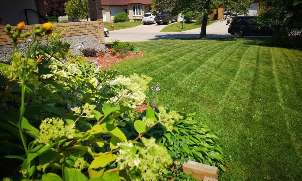 Moweco Electric Lawn Mowing Service