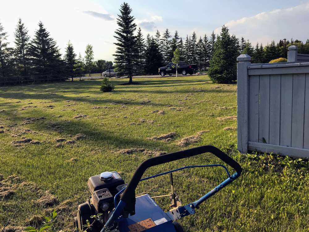 Superior Lawn Management