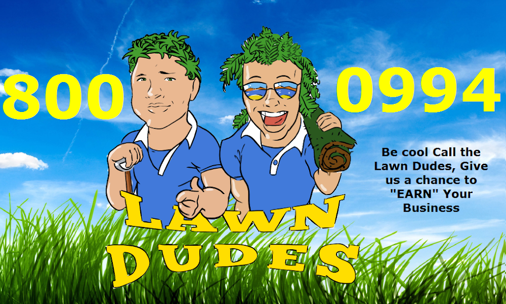 Winnipeg Lawn Dudes
