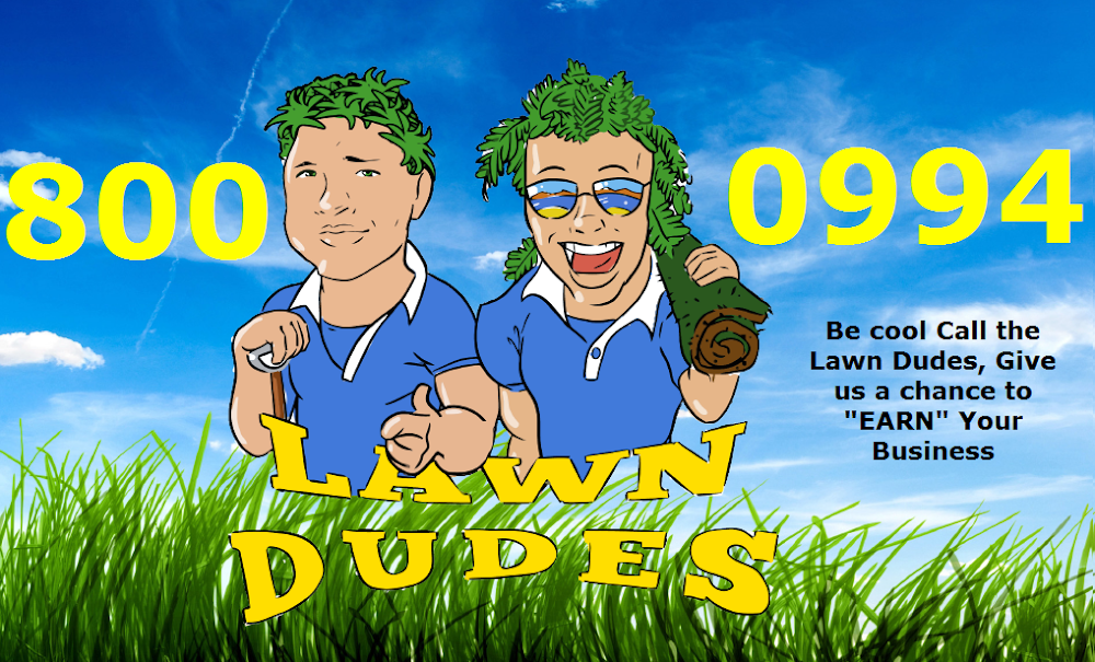 Winnipeg Lawn Dudes