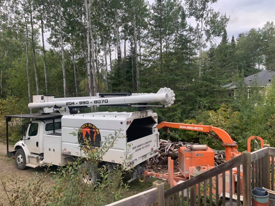 Mitchel’s All Season Tree Experts