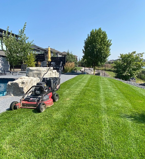 Straight Edge Lawn Care